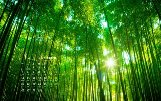 关于原耽的生日文案(适合生日的原耽句子)